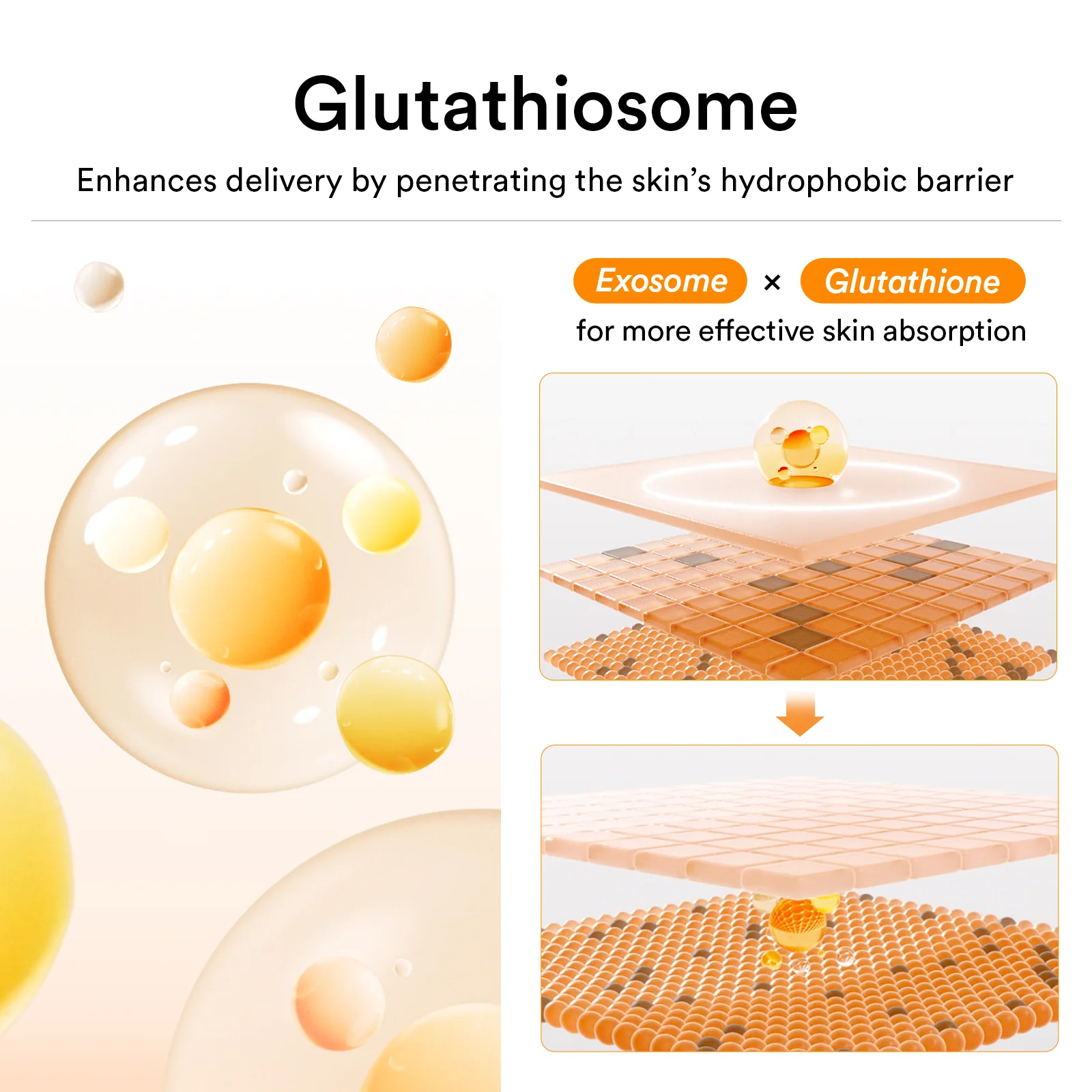 Glutathiosome cream Vita tube - Image 6