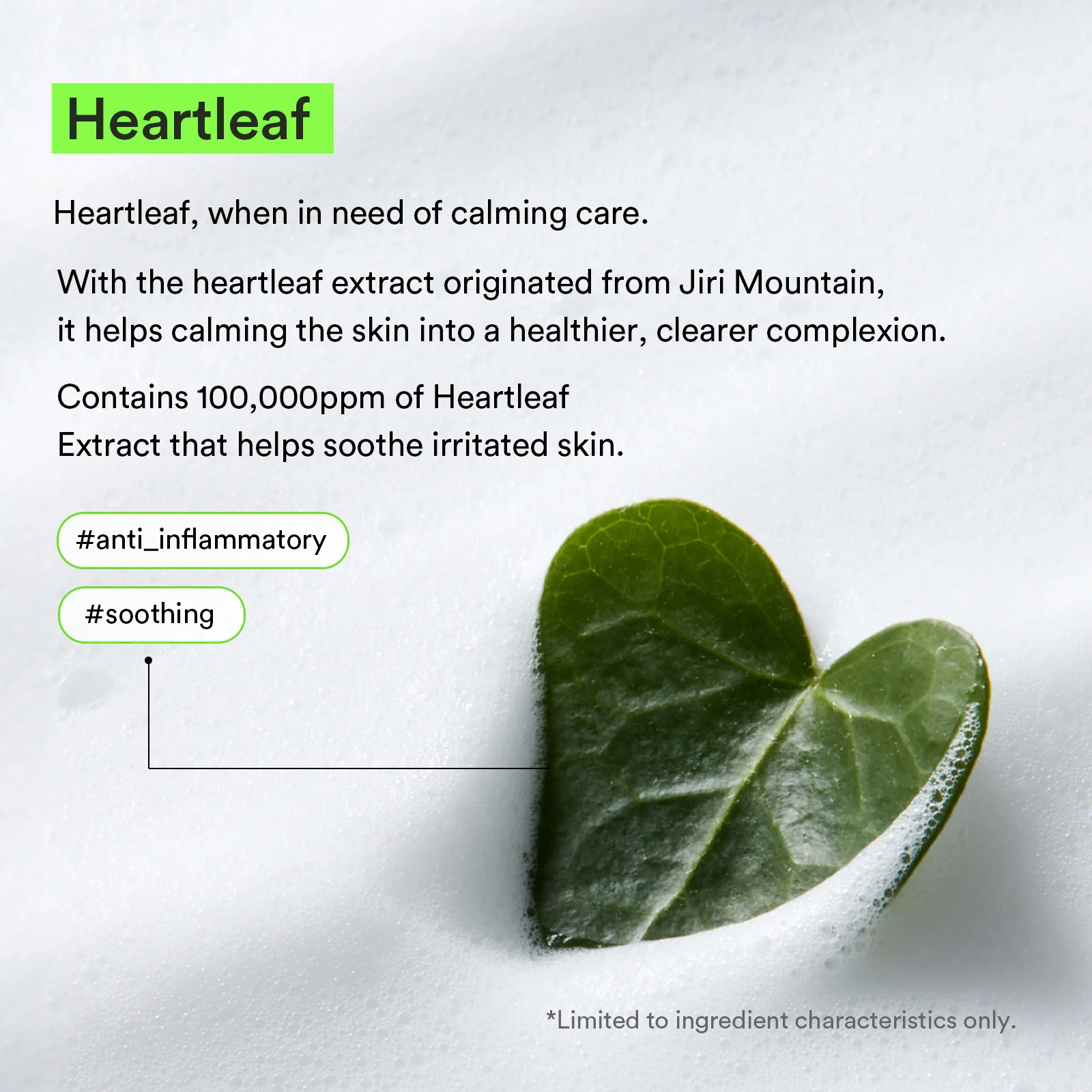 Mild foam cleanser Heartleaf foam - Image 9